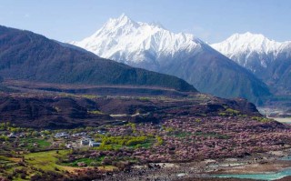 穿越雪域高原：一次难忘的西藏租车之旅